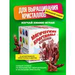 Набор для опытов ВИСМА вырасти сам Магические кристаллы большой набор