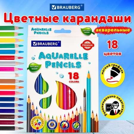 Карандаши цветные Brauberg акварельные Premium Aquarelle 18 шт