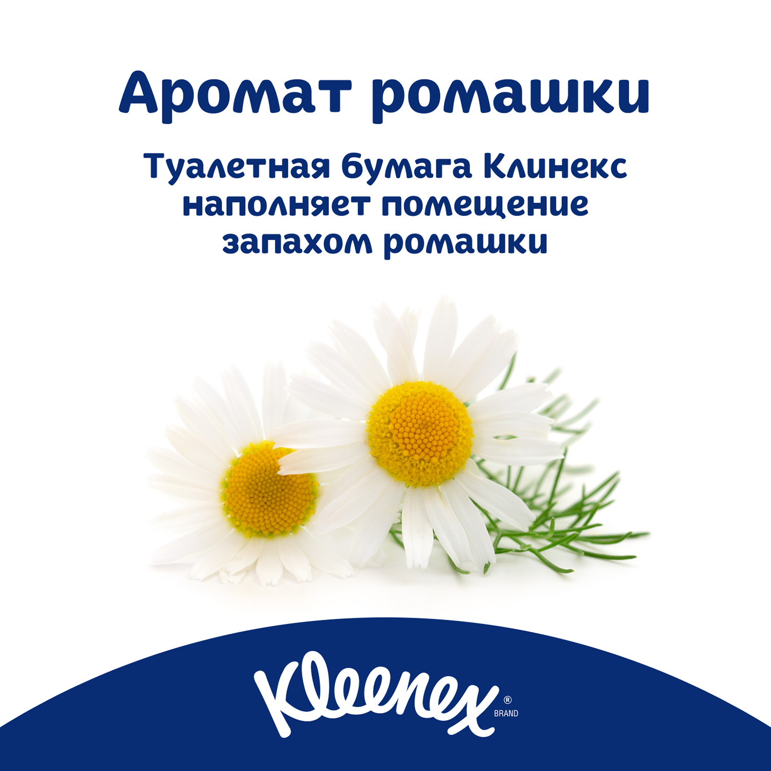 Бумага туалетная Kleenex Нежная ромашка 3 слоя 4 рулона