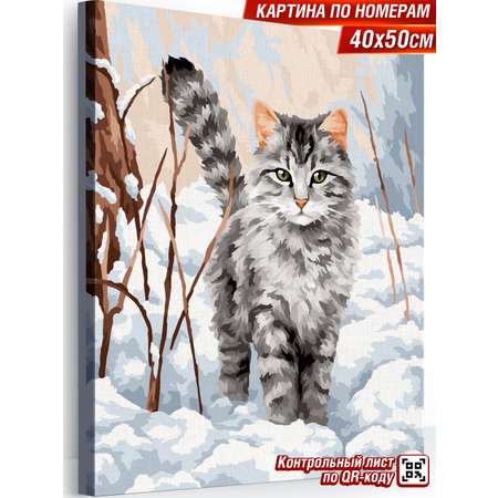 Картина по номерам Hobby Paint холст на подрамнике 40х50 см Прогулка по снегу