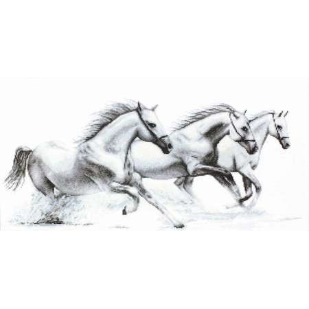Набор для вышивания Luca-S крестом B495 Белые лошади 47х21.5см