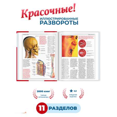 Книга Харвест Книга Атлас анатомии человека Основы строения и физиологии тела