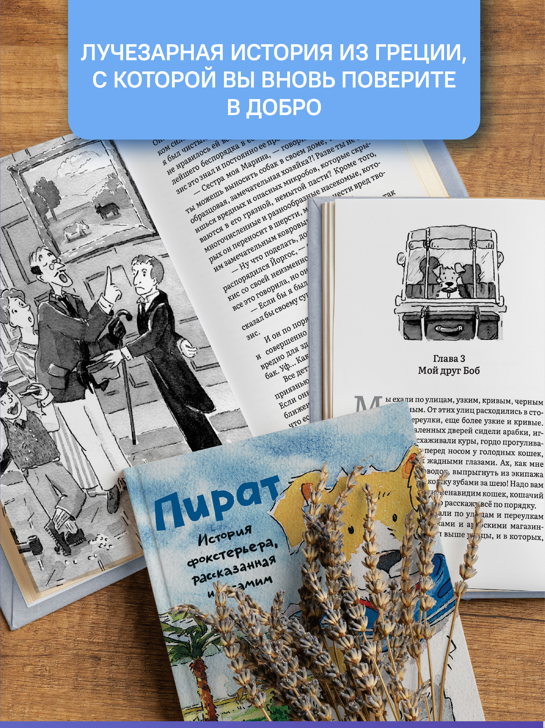 Пират История фокстерьера Никея книга для детей - фото 3