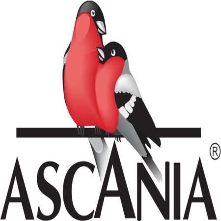 Лимонад Ascania Гранат 0.33 л ПЭТ 6 штук