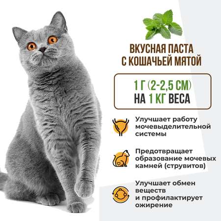 Витамины для кошек Unitabs Steril Cat с Q10 паста 120мл