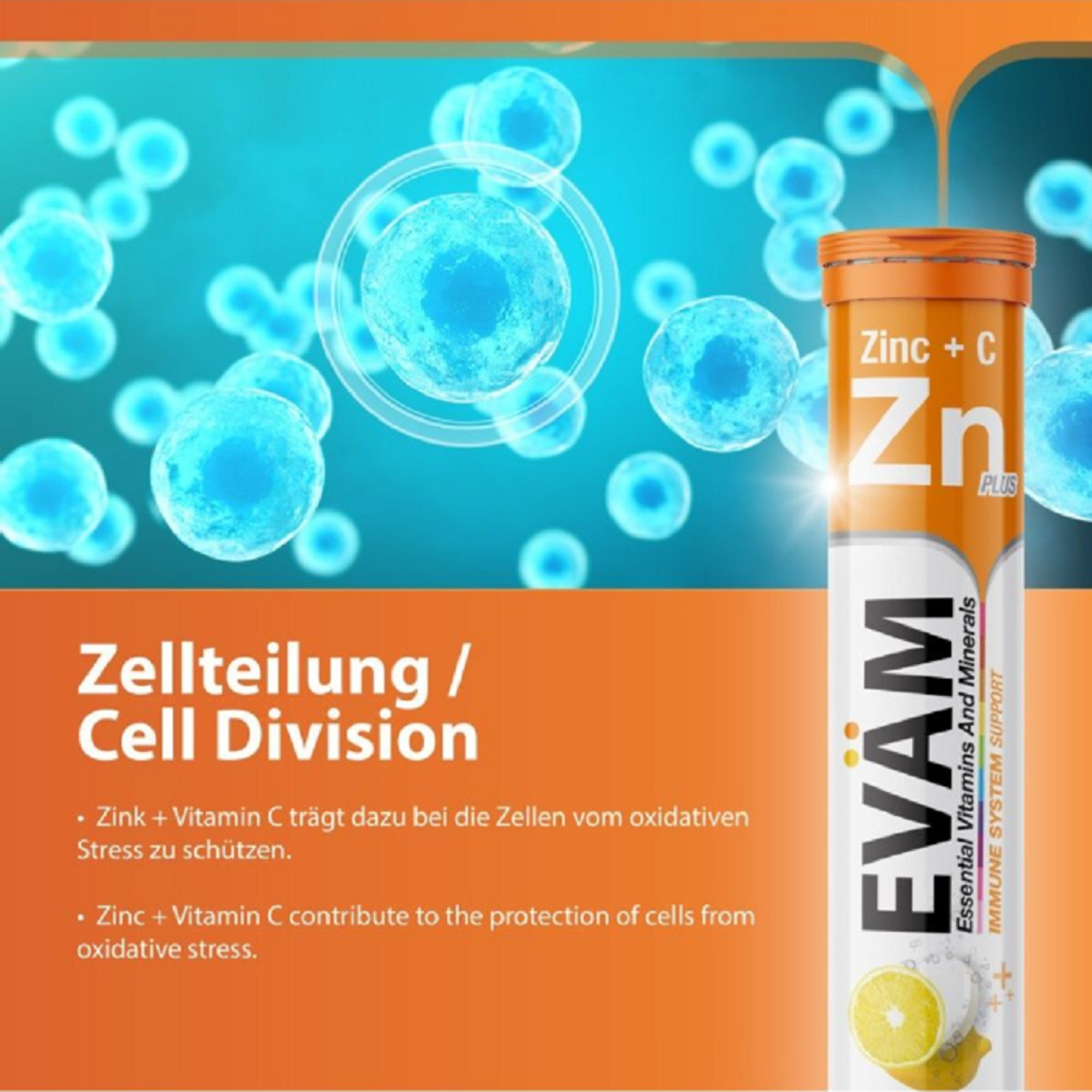 Шипучие витамины EVAM Zn С Цинк и Аскорбиновая кислота 20 таблеток - фото 9