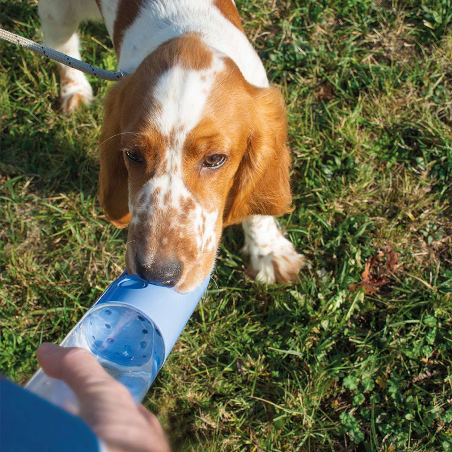 Бутылка для собак DUVO+ с кнопкой - фото 3