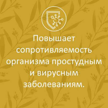 Сироп имбирный ФИТА-ВИТА-МИКС с лимоном и витамином С 100 мл