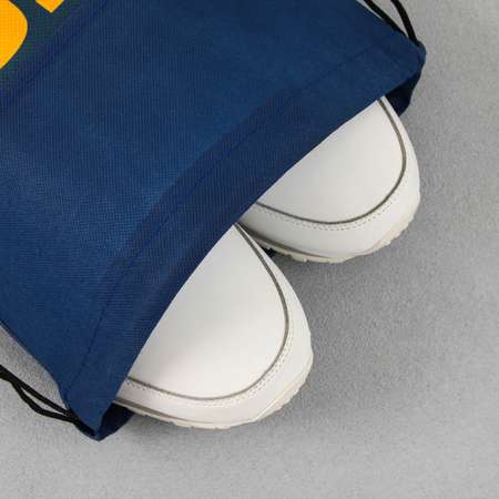 Сумка ArtFox STUDY для обуви «Кеды» нетканное полотно размер 41х31 см