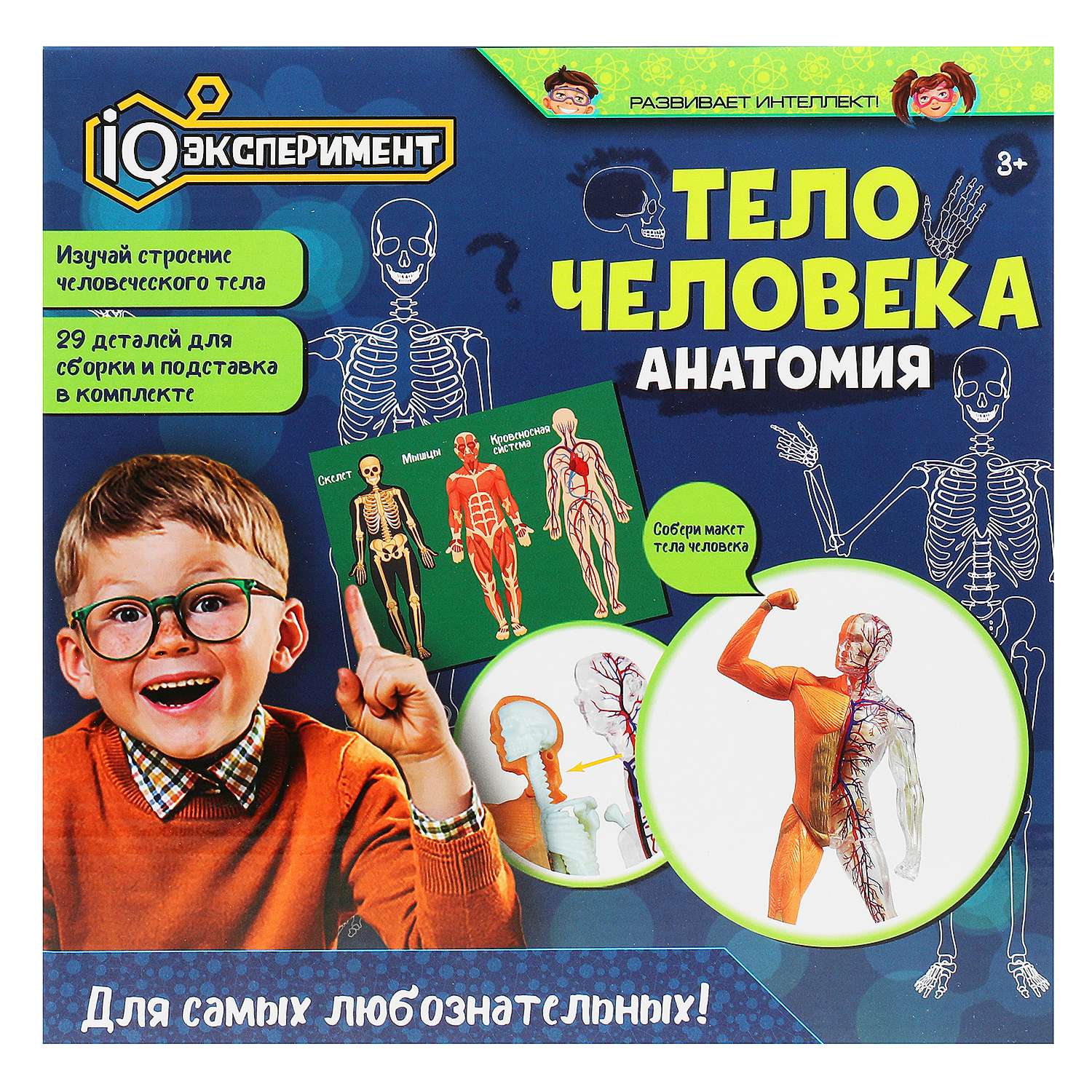 Игрушка Играем вместе Опыты Тело человека 369089 - фото 1