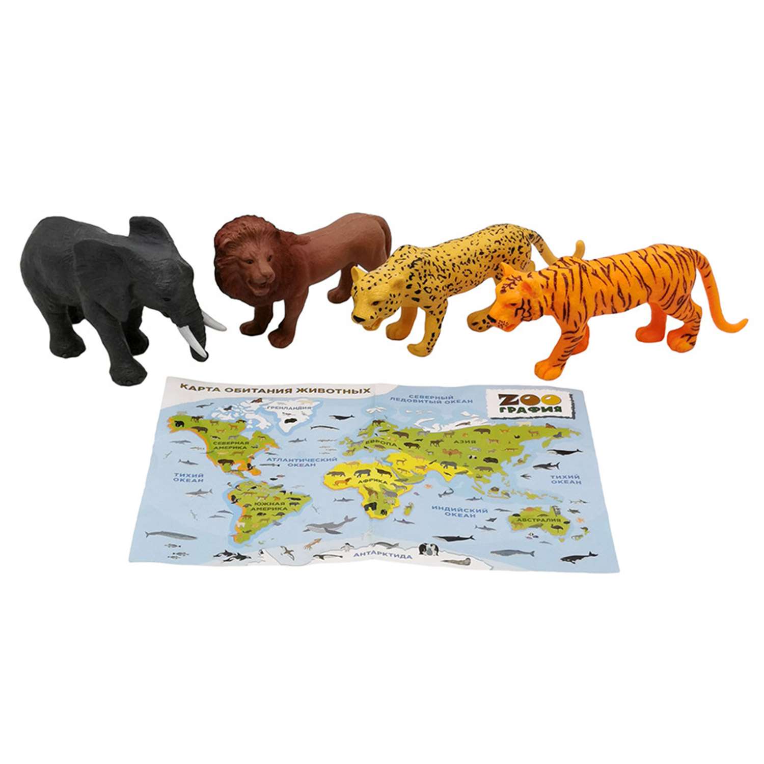 Игровой набор S+S Животные с картой обитания внутри 4 шт Zooграфия - фото 1