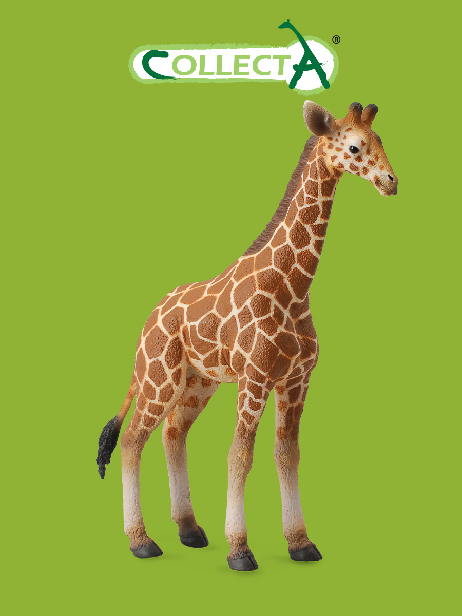 Фигурка животного Collecta Жеребенок Сетчатого Жирафа - фото 1