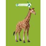Фигурка животного Collecta Жеребенок Сетчатого Жирафа