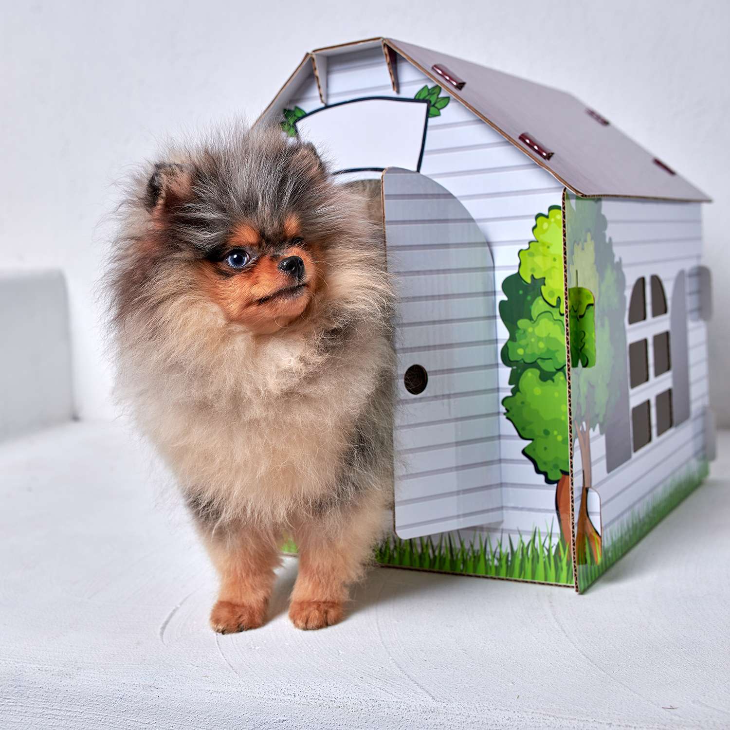 Домик MASKBRO улучшенный картонный для кошек и собак с когтеточкой и мятой - фото 8