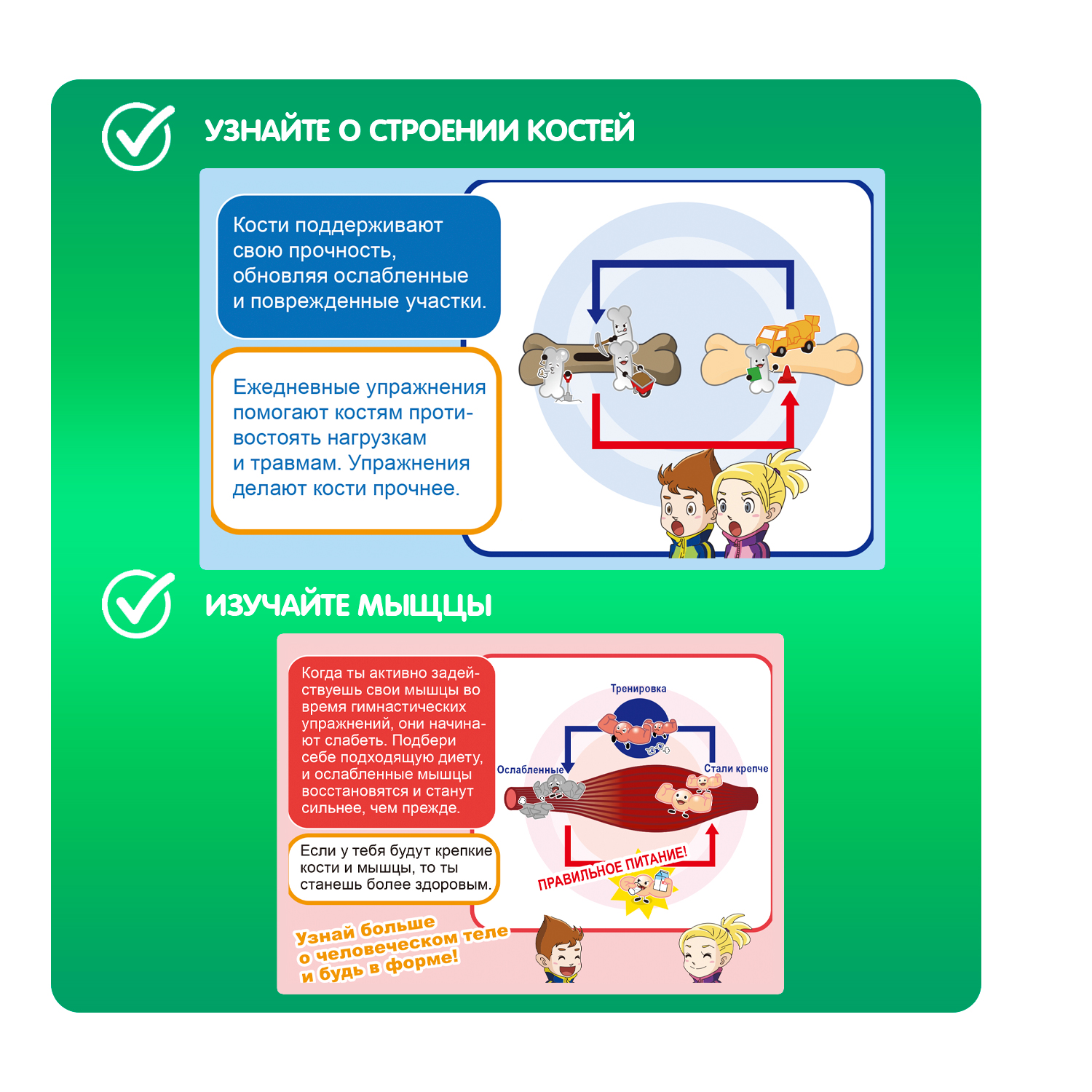 Набор для опытов BONDIBON Кости и мышцы серия Науки с Буки - фото 4