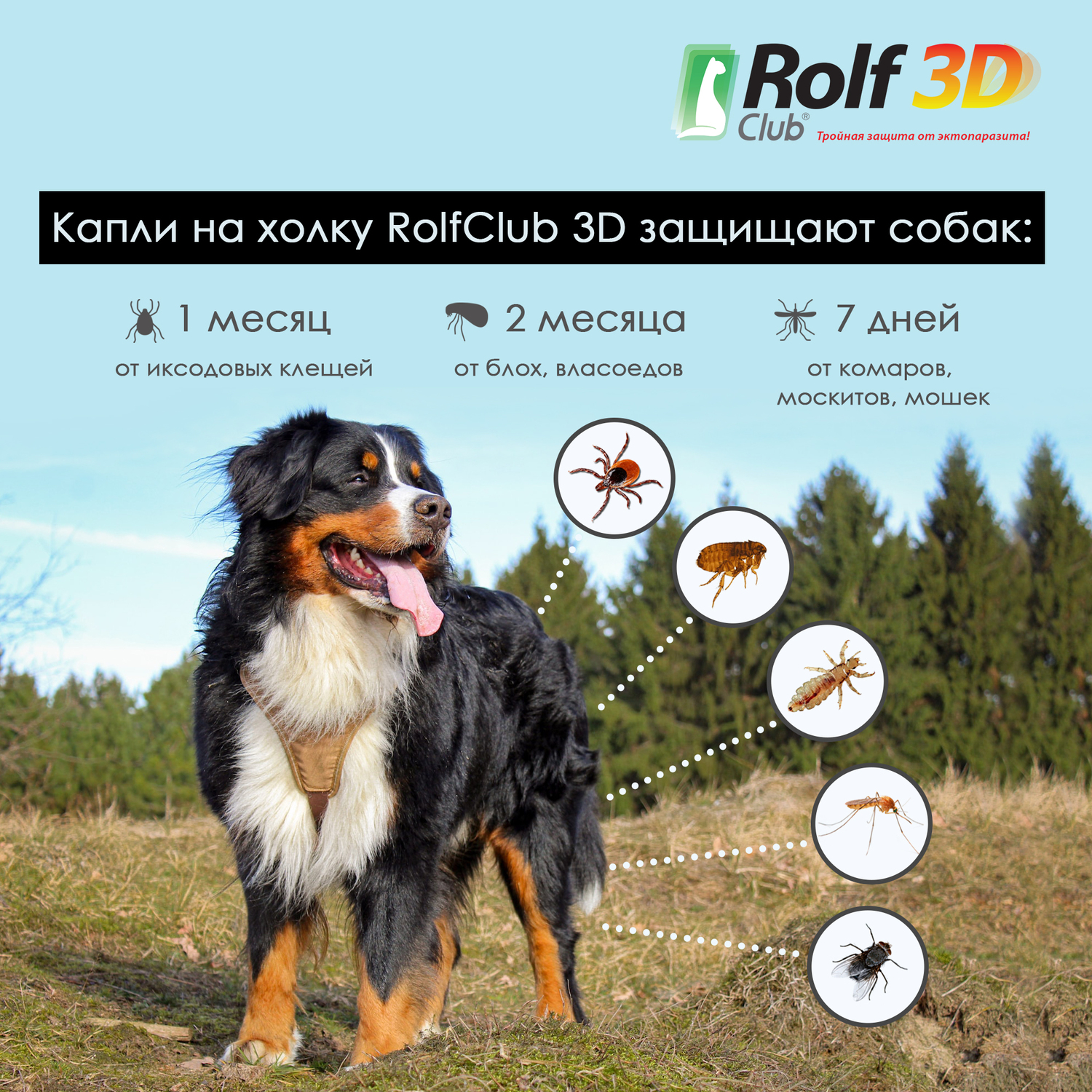 Капли для собак RolfClub 3D 40-60кг 3пипетки - фото 5