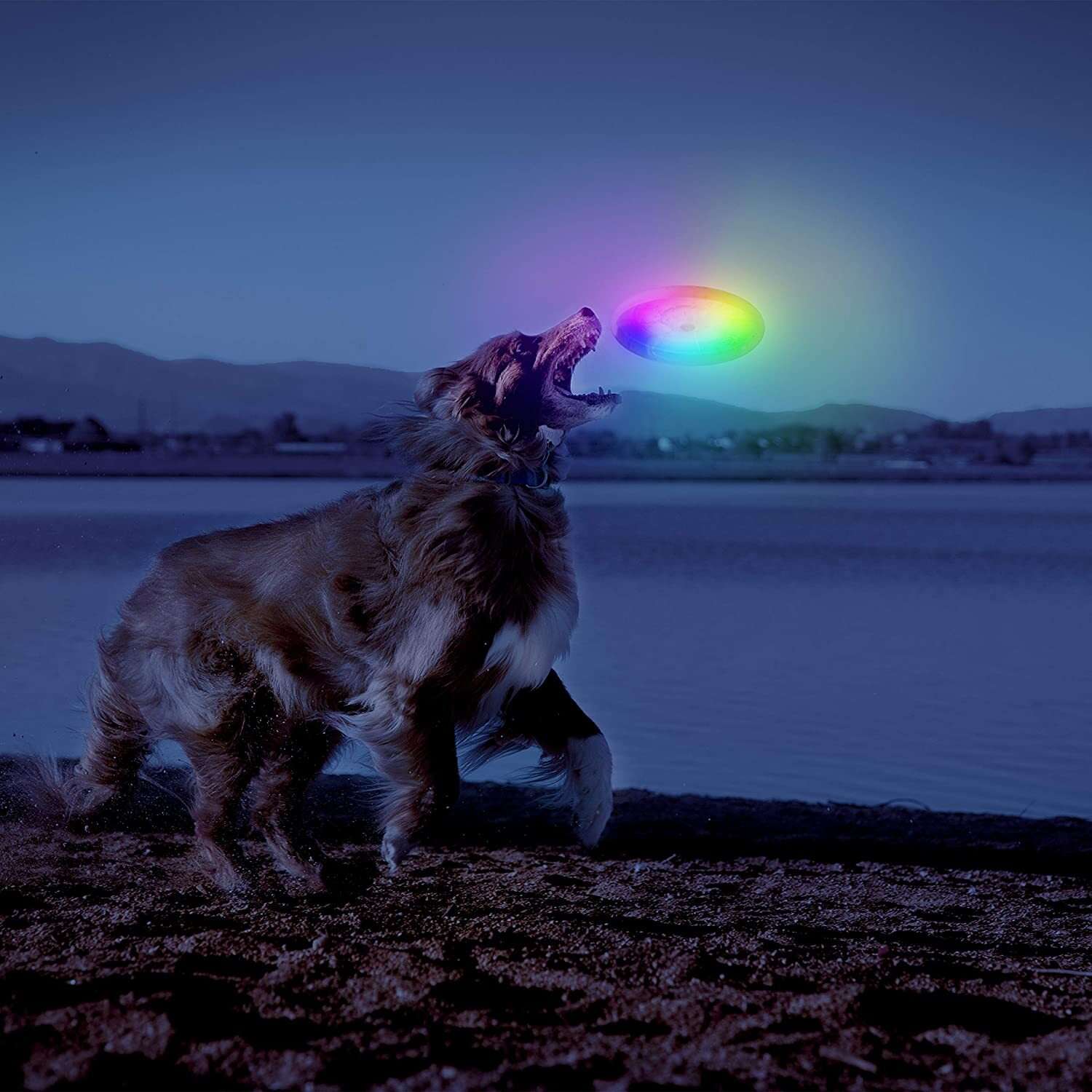 Игрушка фрисби для собак ZDK светящийся - фото 3