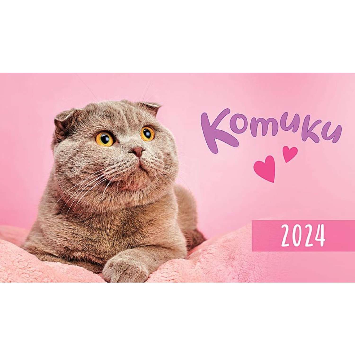 Коте 2024. Котики 2024. Картинки с котиками 2024. Милые котики 2024. Котик 2024 год милый.