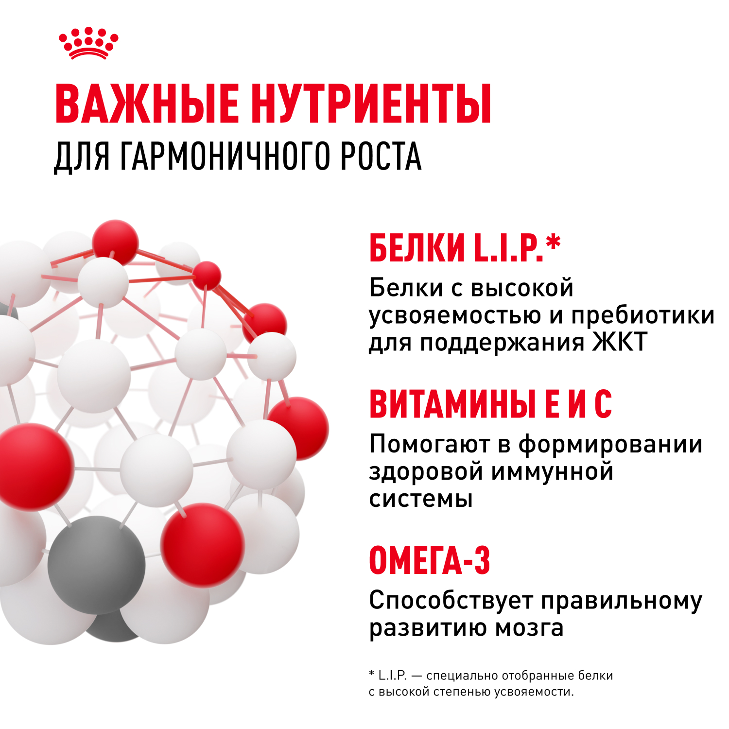 Корм для щенков Royal Canin Mini Puppy мелких пород до 10 месяцев кусочки в соусе пауч 85г - фото 5