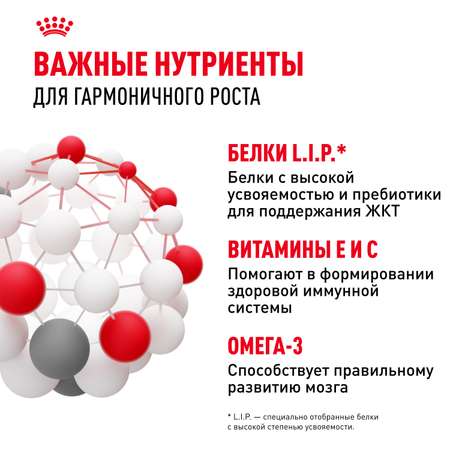 Корм для щенков Royal Canin Mini Puppy мелких пород до 10 месяцев кусочки в соусе пауч 85г