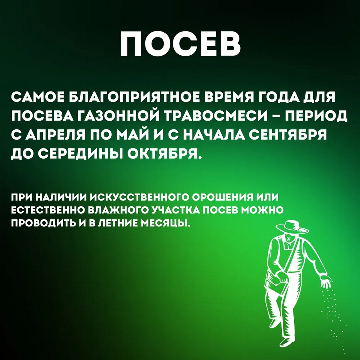 Семена газонных трав АгроСидсТрейд газон Универсальный 10 кг - фото 8