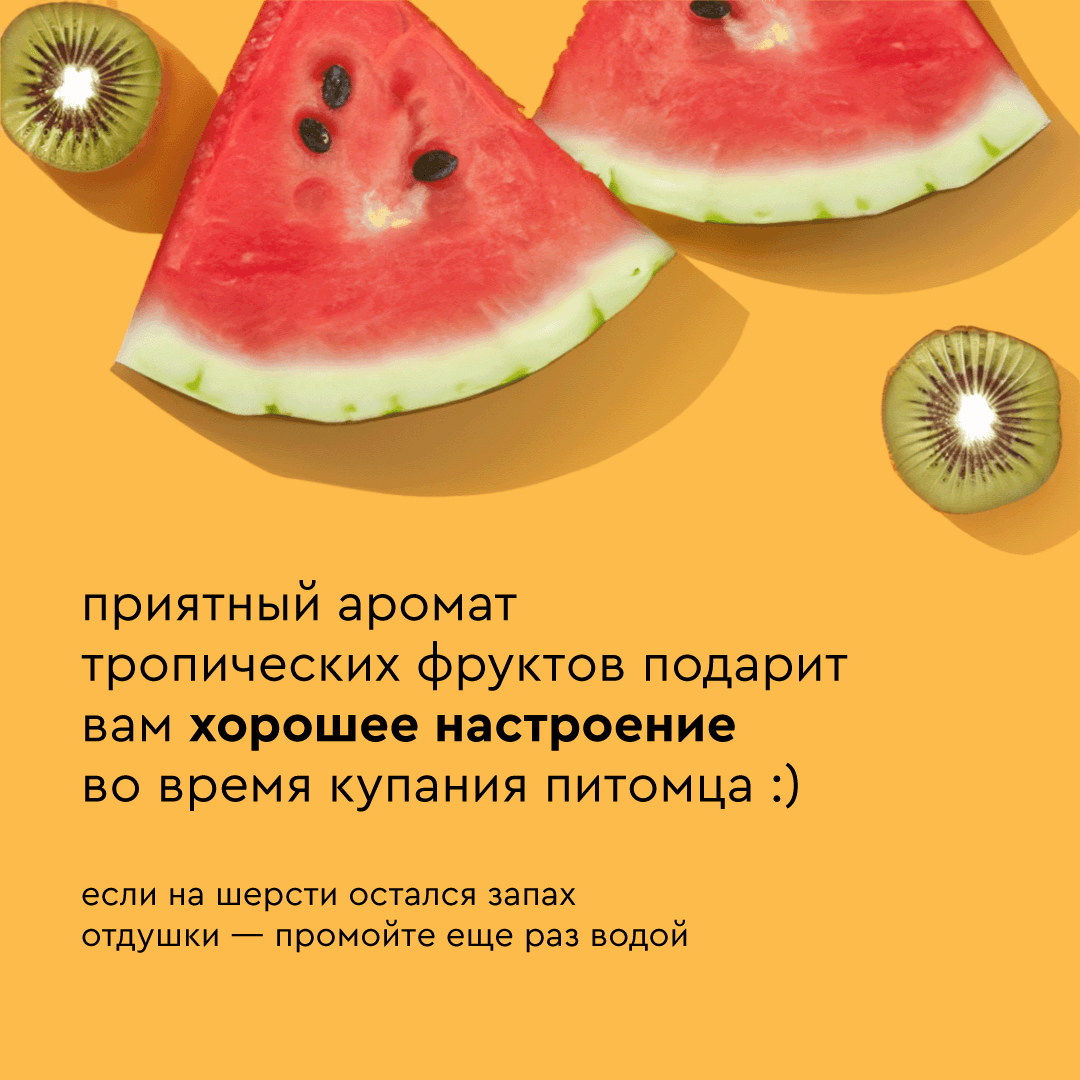 Увлажняющий набор: шампунь+мыло для лап Pamilee для собак с ароматом тропических фруктов и с пантенолом - фото 7