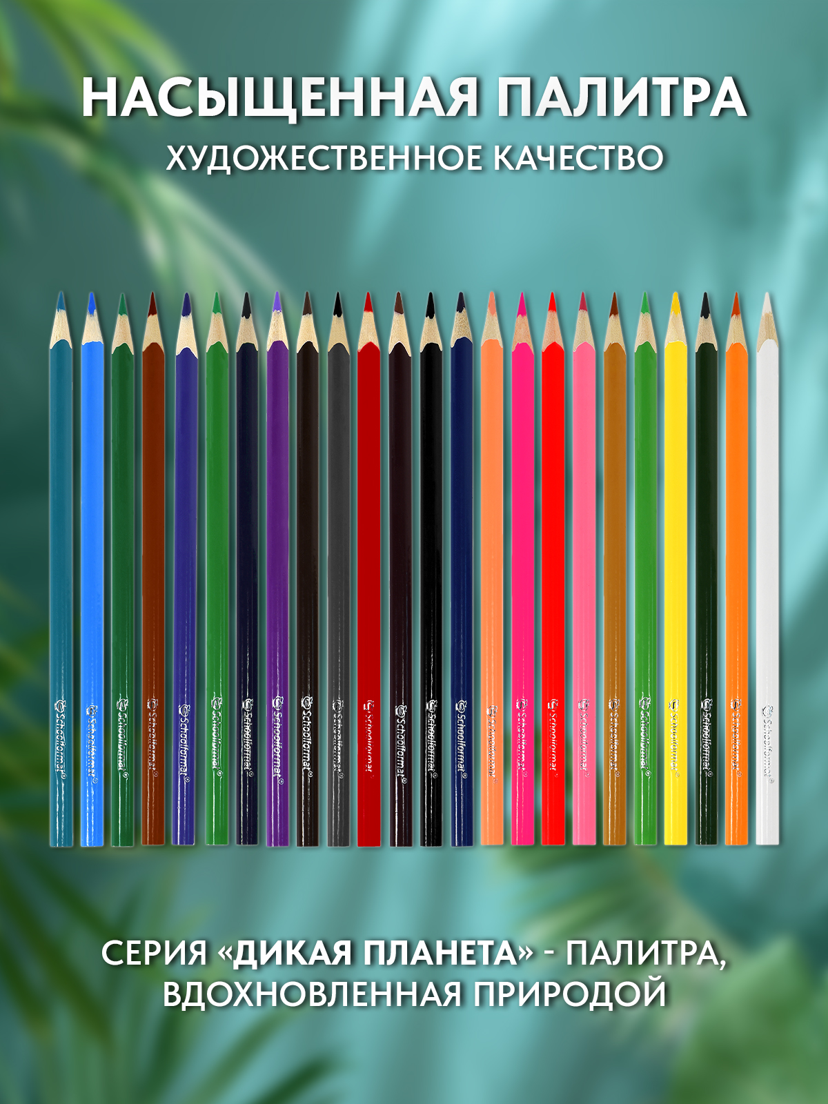 Карандаши SCHOOLFORMAT Дикая планета 24 цвета трехгранные - фото 3