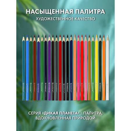 Карандаши SCHOOLFORMAT Дикая планета 24 цвета трехгранные