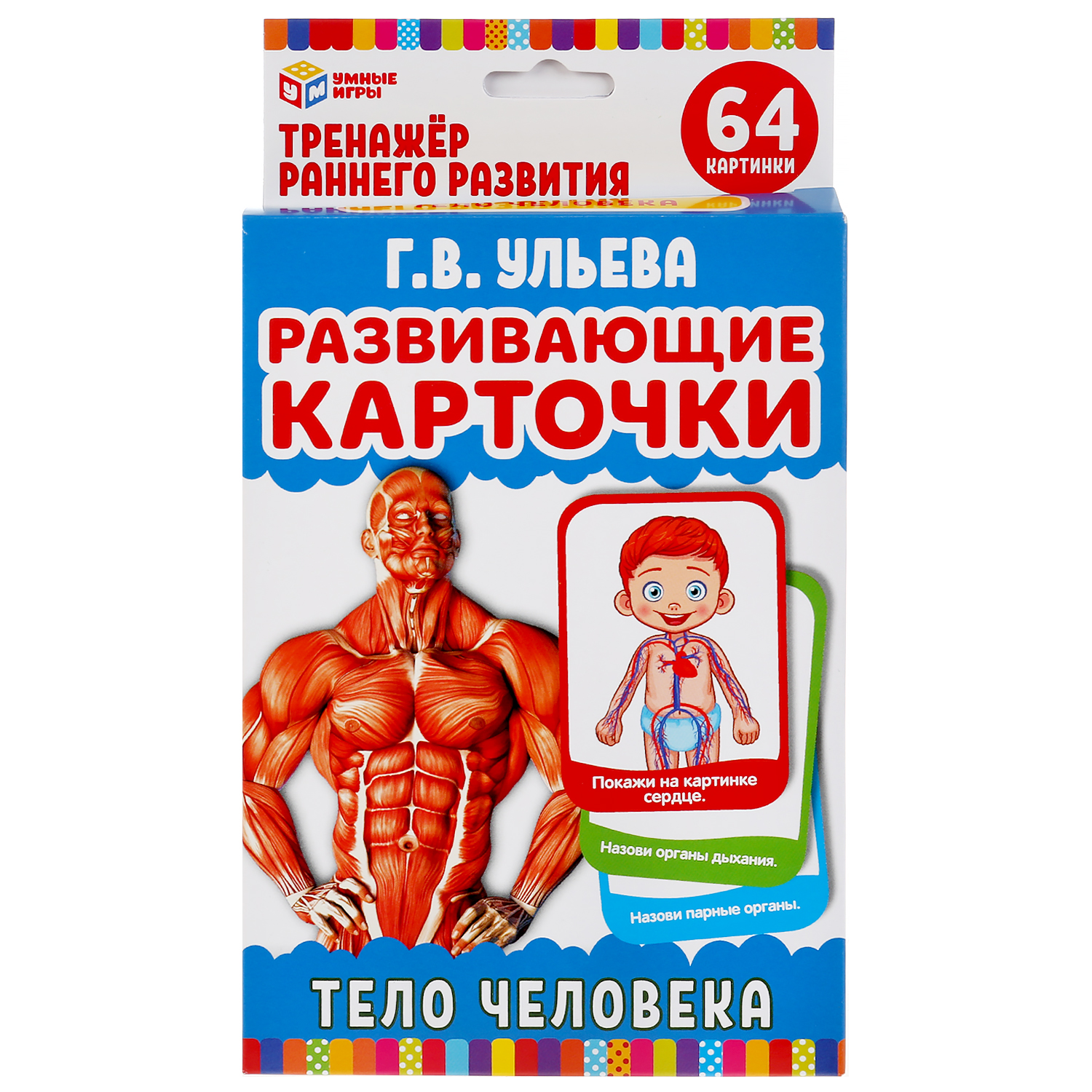 Карточки развивающие Умные Игры Тело человека. Ульева 32 шт 299788 купить  по цене 236 ₽ в интернет-магазине Детский мир