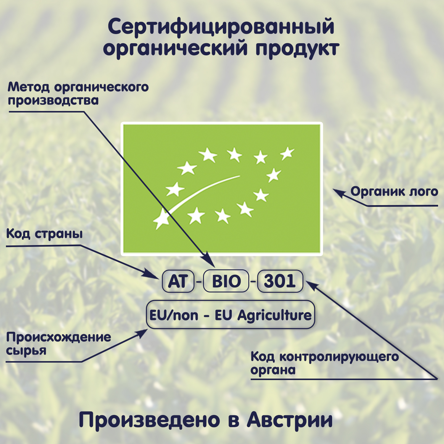 Каша Fleur Alpine мультизлаковая банан-клубника-яблоко с кукурузными шариками овсяными и спельтовыми хлопьями 200г с 15месяцев - фото 12