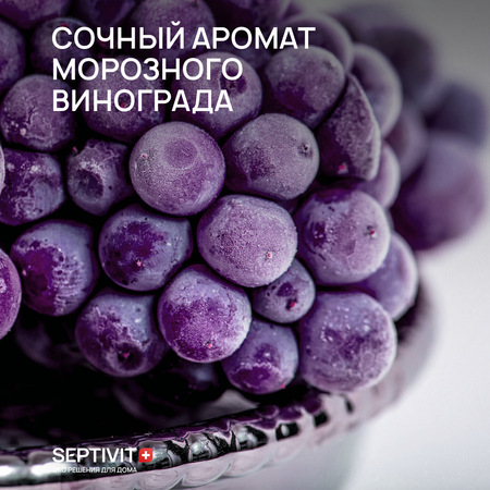 Жидкое мыло SEPTIVIT Premium Виноградная свежесть 5л