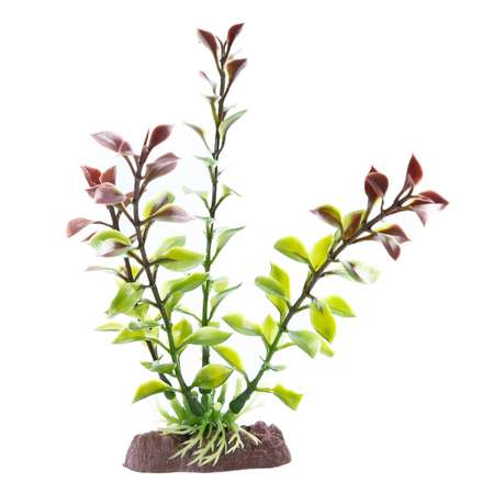 Растение PennPlax Red Blooming Ludwigia с грузом 18см P12RSH