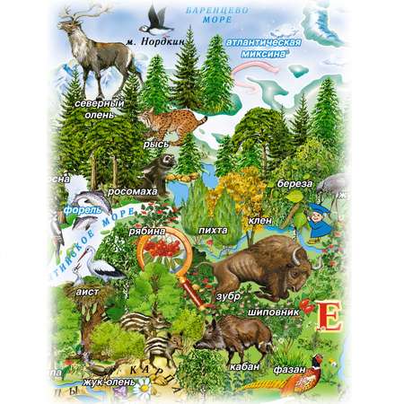 Детская географическая карта Маленький гений Животный и растительный мир Земли в пакете