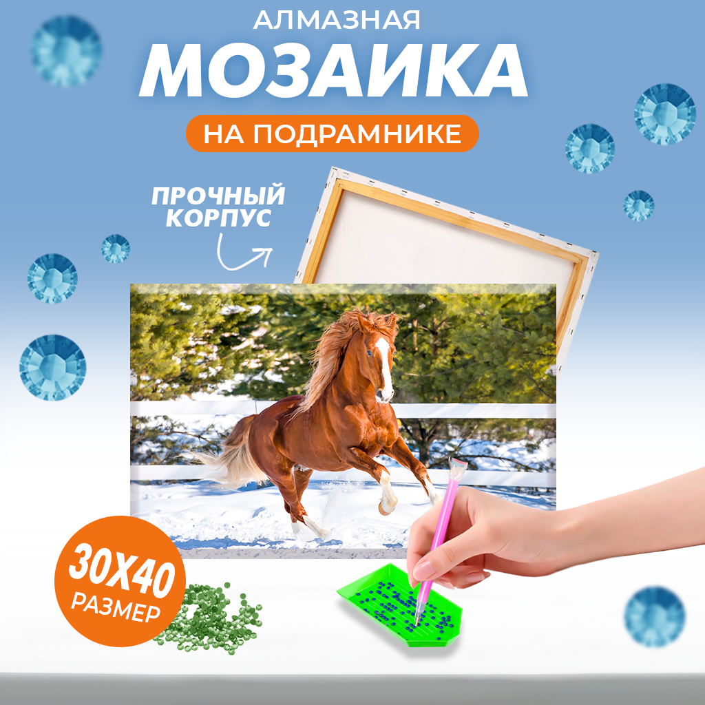 Алмазная мозаика Solmax Конь на подрамнике 30х40см - фото 1