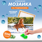 Алмазная мозаика Solmax Конь на подрамнике 30х40см