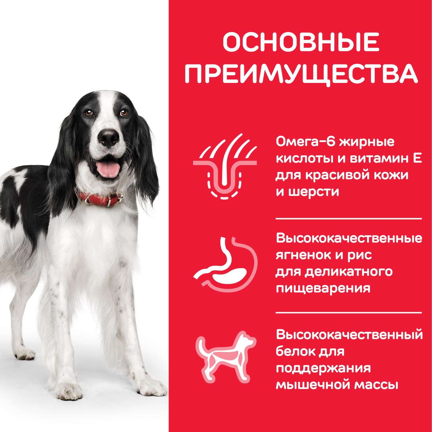 Корм для собак HILLS 2.5кг для средних пород для поддержания иммунитета с ягненком и рисом сухой - фото 5