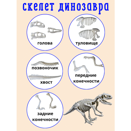 Раскопки динозавров опыты с песком VSEVERA Набор с натуральными камнями самоцветами эксперименты0