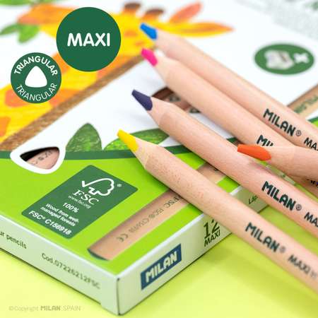 Набор цветных карандашей MILAN ECO 12 цветов шестигранный корпус в картонной упаковке