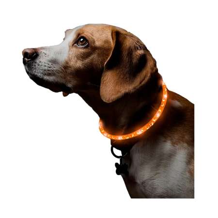 Ошейник для собак ZDK ZooWell со светодиодами оранжевый 70 см