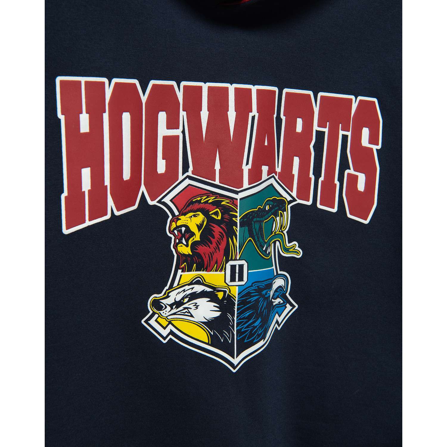 Худи Harry Potter S24LC5-F5G7439tb-D6 - фото 4