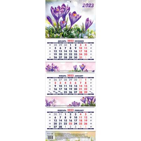 Календарь квартальный ND PLAY Цветы на 2023 год