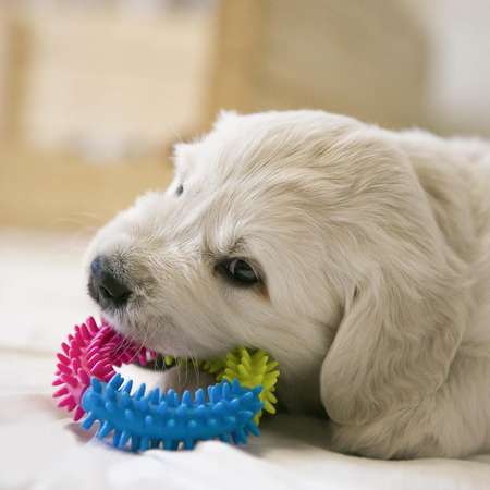 Игрушка Пижон жевательная для собак «Кусочек счастья» 9.5 см