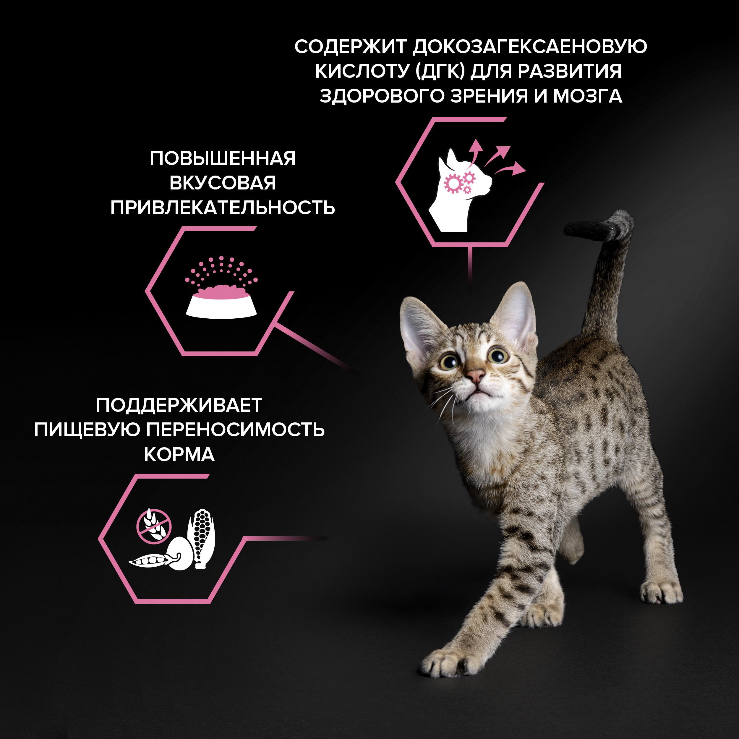 Корм сухой для котят PRO PLAN 200г с индейкой с чувствительным пищеварением - фото 3
