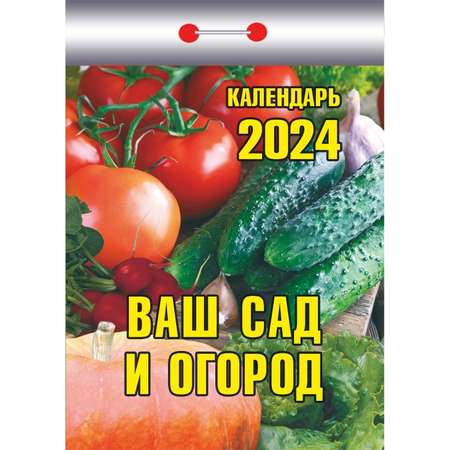 Календарь настененный отрывной 2024 Ваш сад и огород 77*114 ОКК-324