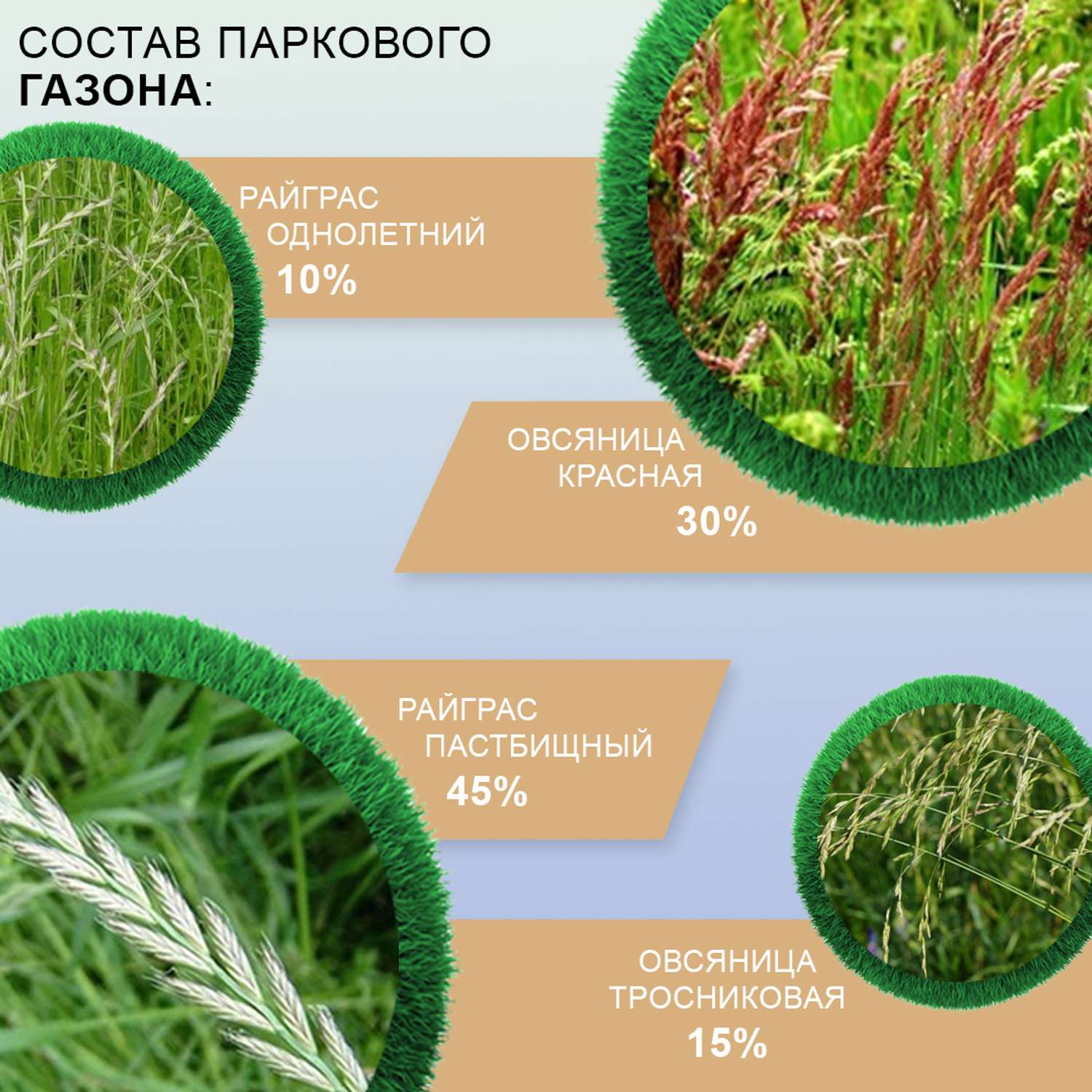 Семена газона Мираторг Парковый газон 0.8 кг - фото 3
