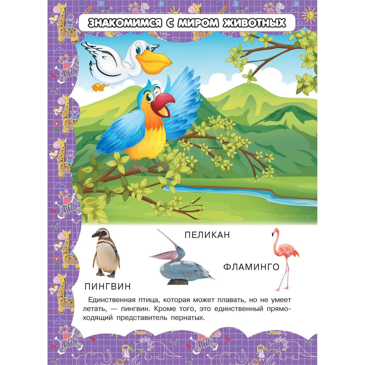 Книга Харвест Развитие ребенка от 3 до 6 лет Комплект 6 обучающих пособий - фото 12