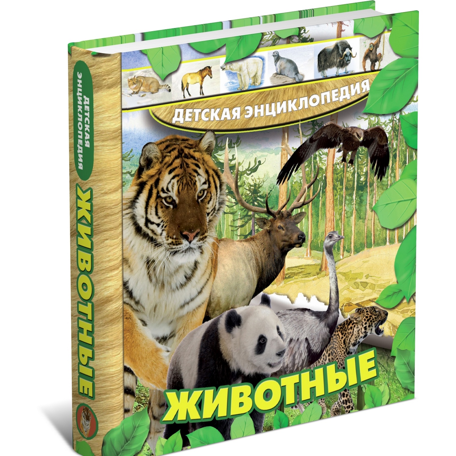 Книга Харвест Детская энциклопедия. Животные - фото 1