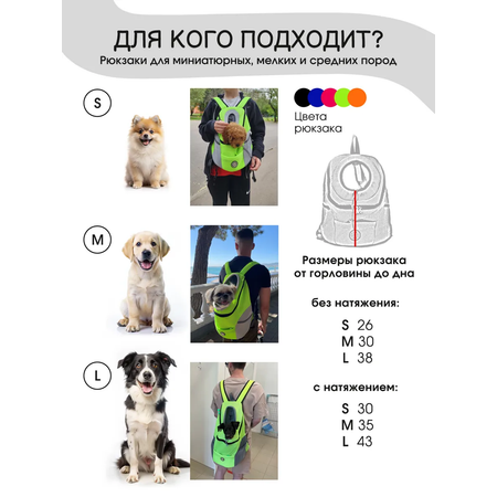 Рюкзак переноска SuperPets для кошек и собак, размер S