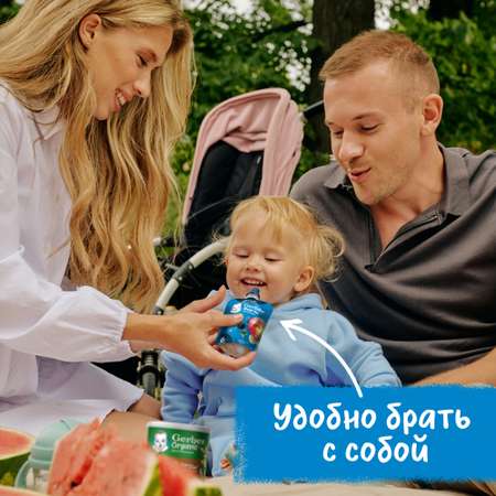 Пюре Gerber фрукты-ягоды 90г с 6месяцев