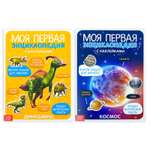 Набор книг с наклейками Буква-ленд «Энциклопедии о динозаврах и космосе» набор 2 шт. по 8 стр. формат А4
